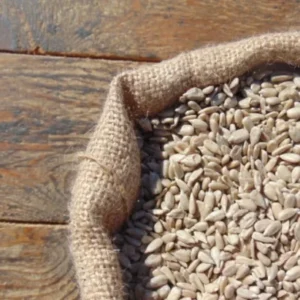 Miezfloarea soarelui