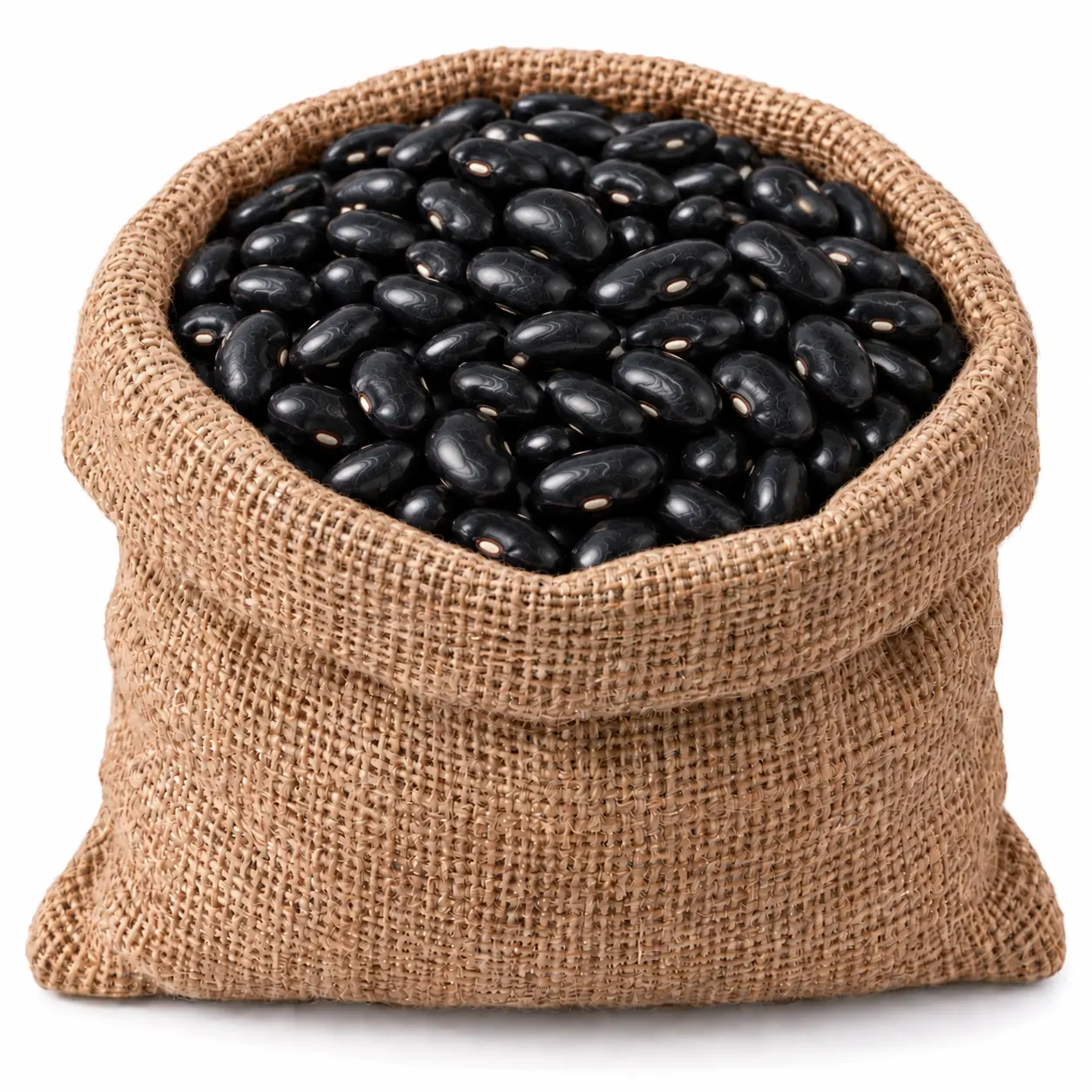 Fasole neagra